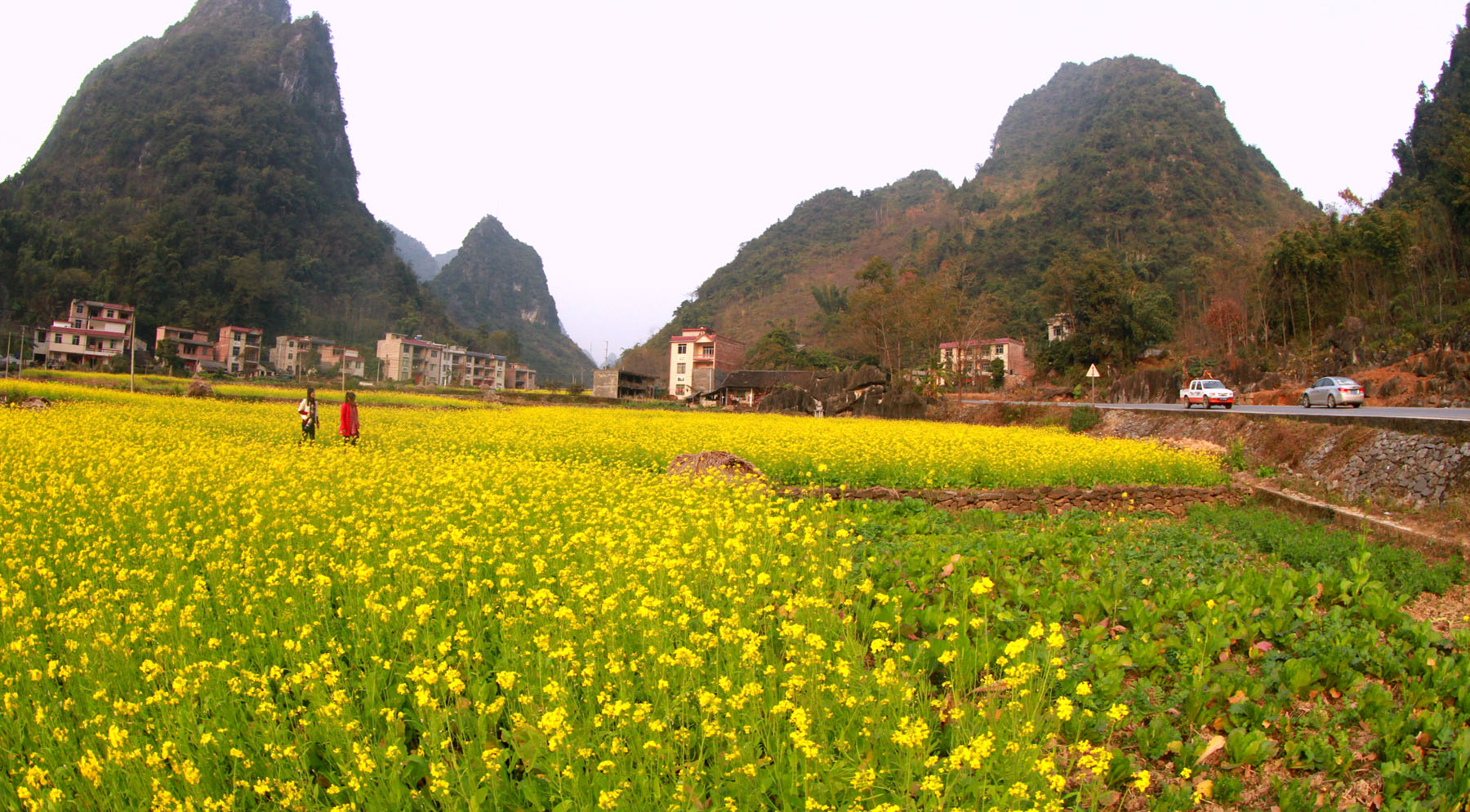 龙山县大安乡大灵山图片